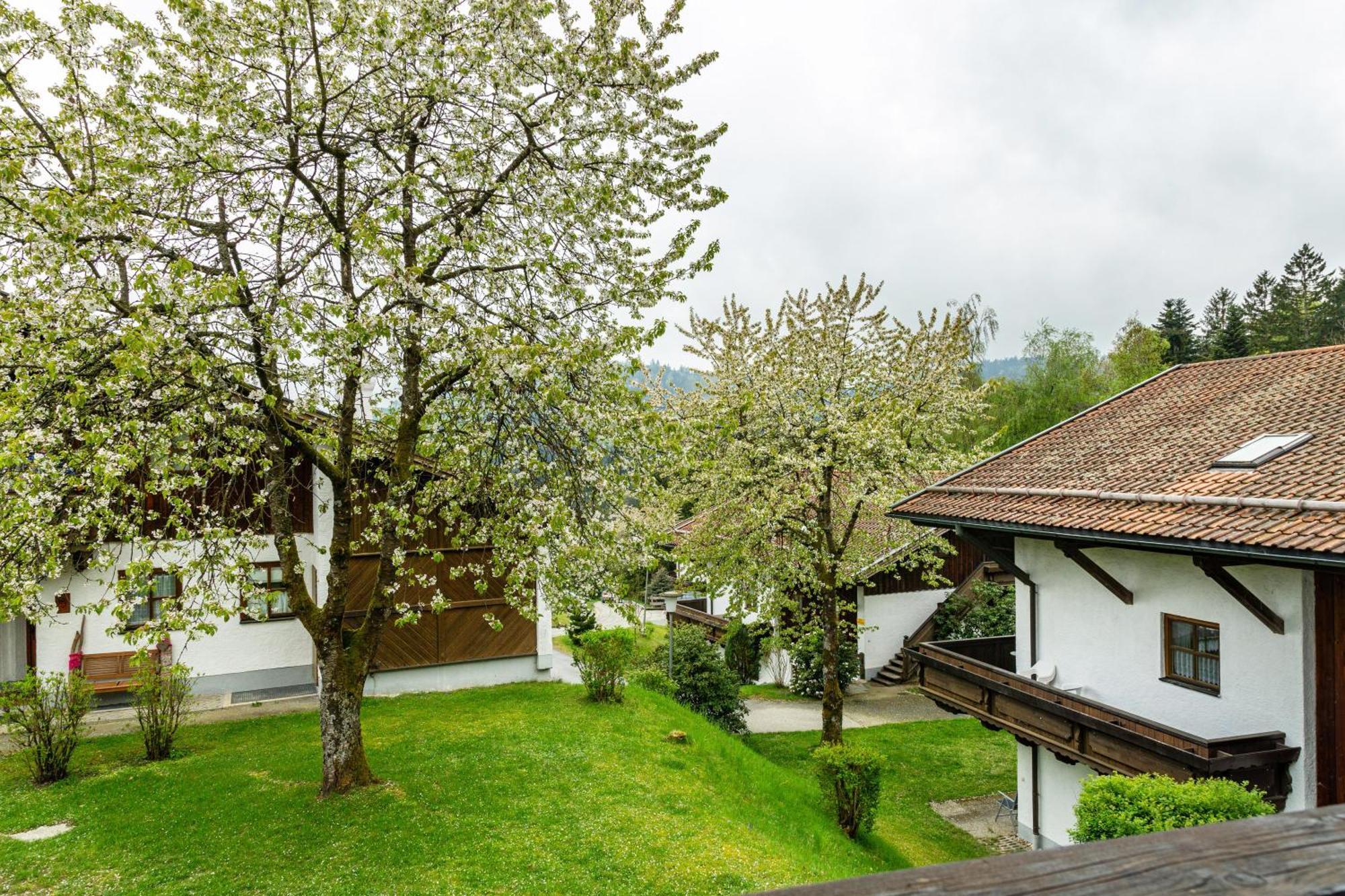 Komfortwohnung Mit Pool Und Sauna Hauzenberg Exterior foto